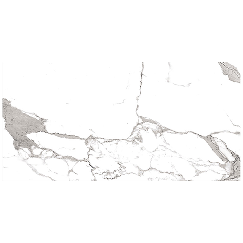 Porcelain tile in Harmonic Tocatta 12x24 Polished