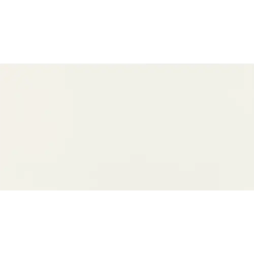 Pure Matte Frost White 12" x 24"
