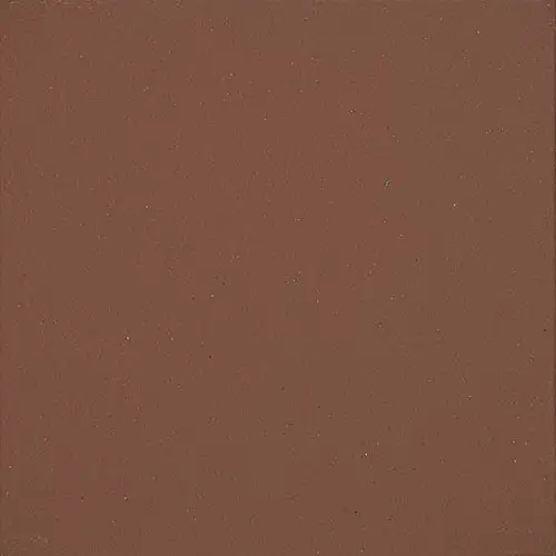 Quarry Matte Diablo Red 8" x 8"
