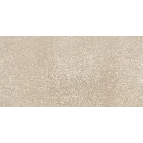 Reminiscent Aged Beige 12" x 24"