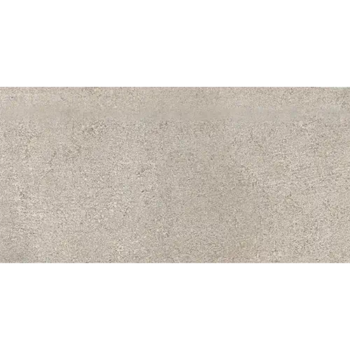 Reminiscent Souvenir Gray 12" x 24"