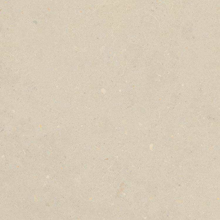 Porcelain tile in Breeze 12x24 Bloom Beige
