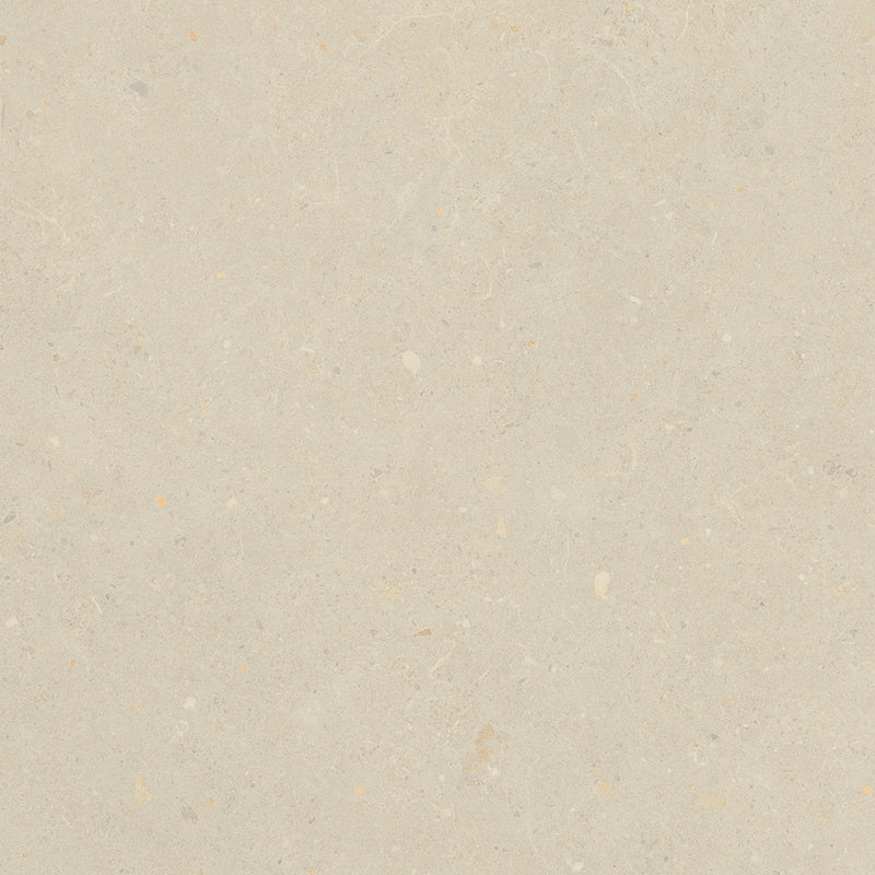 Porcelain tile in Breeze 48x48 Bloom Beige
