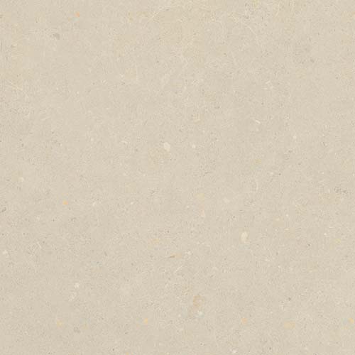 Porcelain tile in Breeze 48x48 Bloom Beige