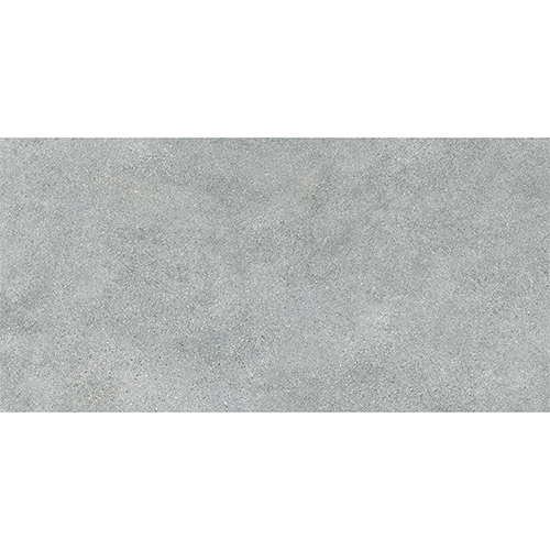 Porcelain tile in Livermore 24x48 Gray Matte