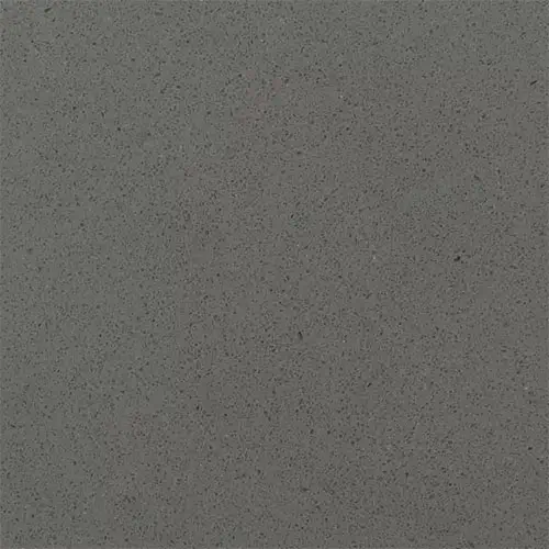 Fossil Grey Polished