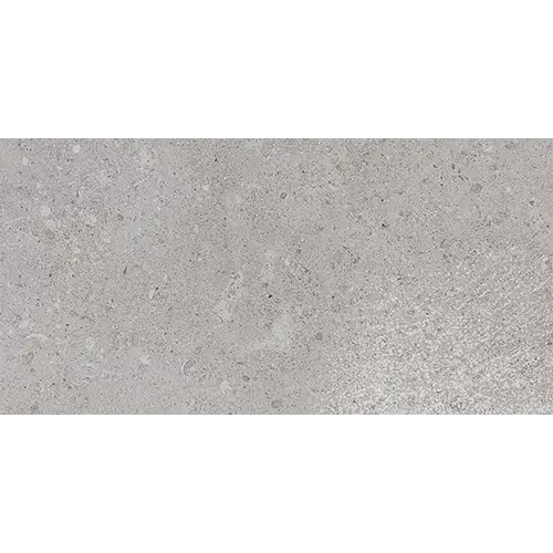 Dignitary Matte Eminence Grey 24" x 48"