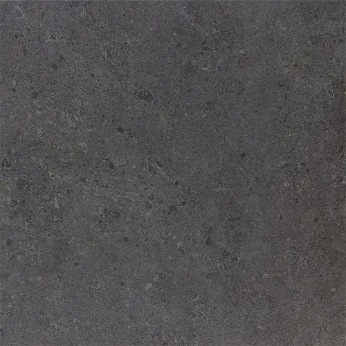 Dignitary Matte Governor Black 24" x 24"