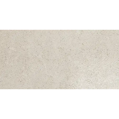 Dignitary Matte Luminary White 12" x 24"