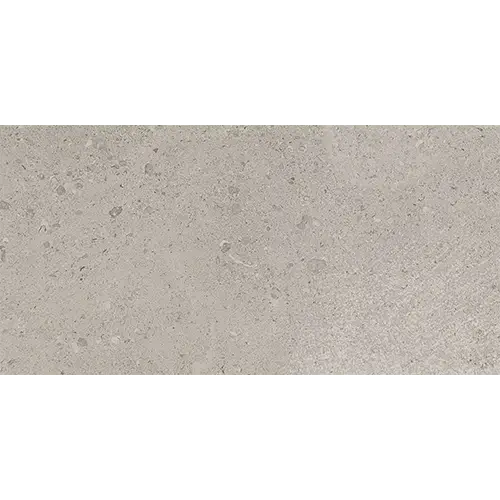 Dignitary Polished Superior Taupe 12" x 24"