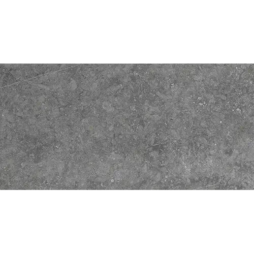 Diplomacy Light Grey 12" x 24"