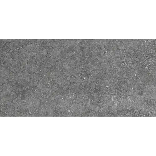 Diplomacy Light Grey 24" x 48"