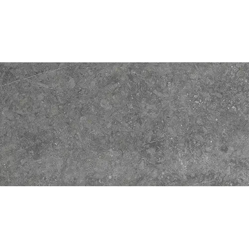 Diplomacy Xterior Paver Light Grey 12" x 24"