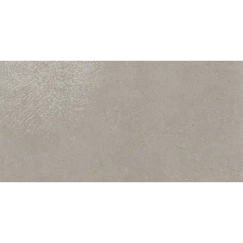Haut Monde Matte Elite Grey 24" x 48"