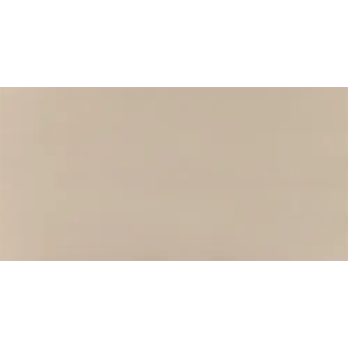 Synchronic Beige 12" x 24"