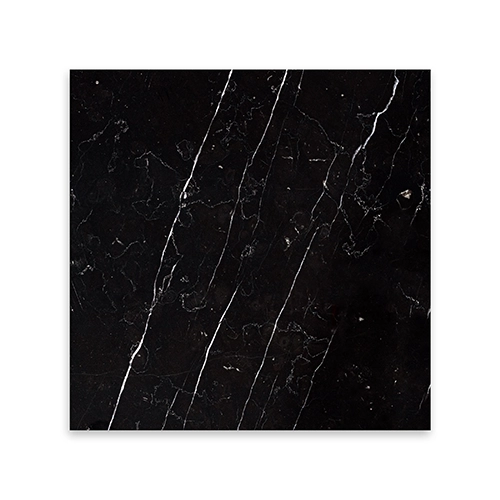 Negro Marquina 12" x 12" Honed