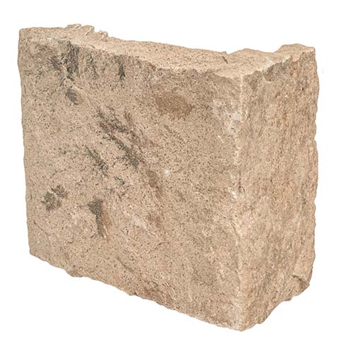 Sandstone tile in Fossil Rustic square and Rectangle Corner