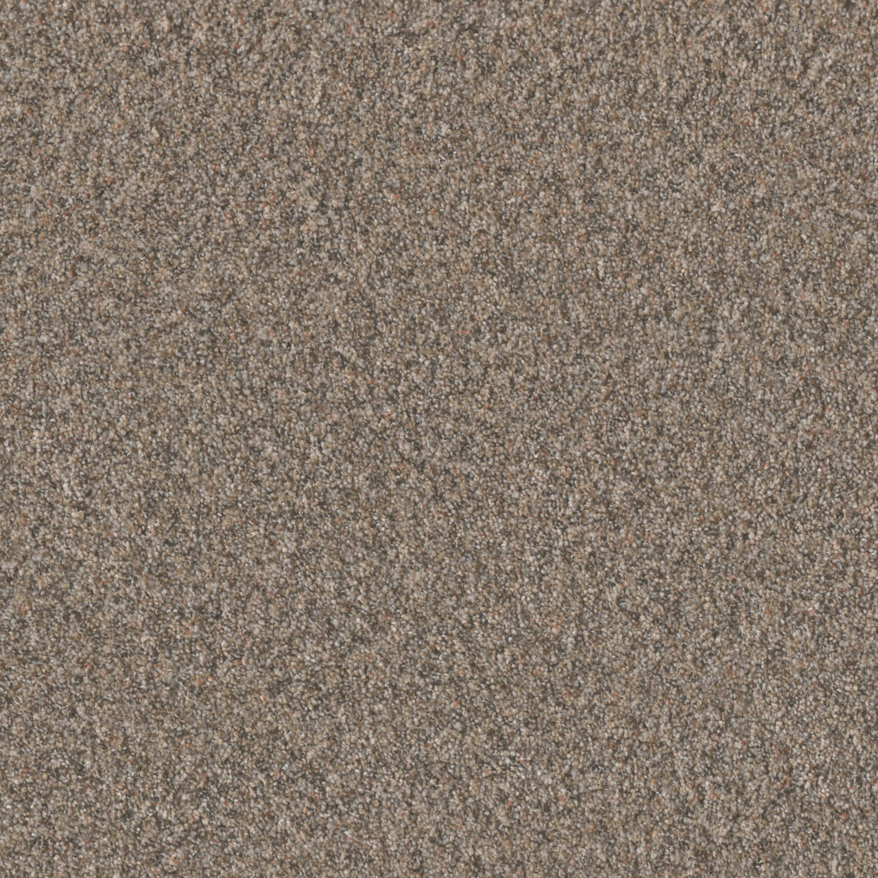 TIMBERLINE III