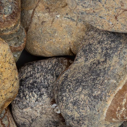 Loose Pebbles - Rain Forest Brown Medium Tumbled