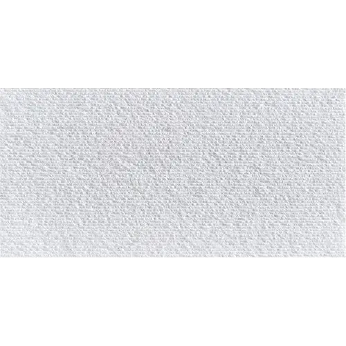 Carvina Comb Bianco Ice 12" x 24"