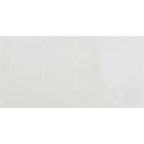 Lithe Aztec Onyx Bianco 12" x 24" Matte