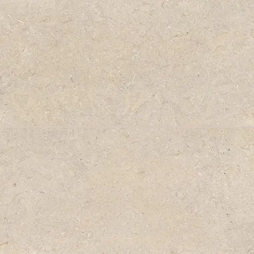 Poetry Stone Beige 24" x 48"