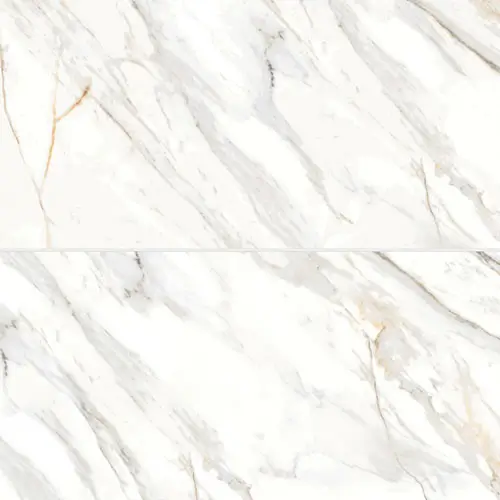 Shandar Matte Arezzo Bianco 24" x 48"