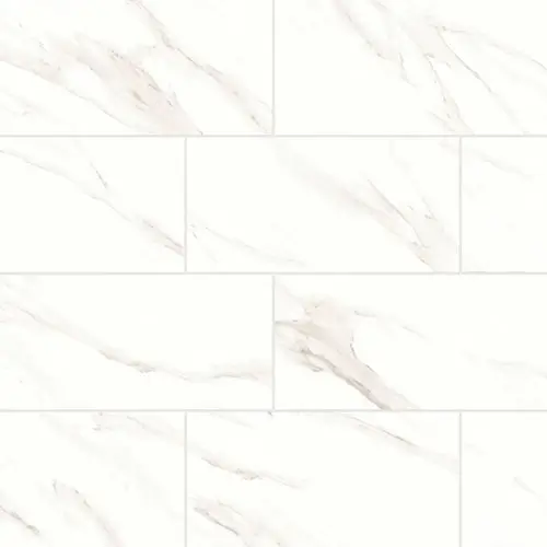 Shandar Matte Statuario 12" x 24"