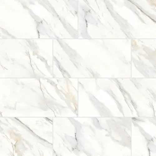 Shandar Polished Arezzo Bianco 12" x 24"