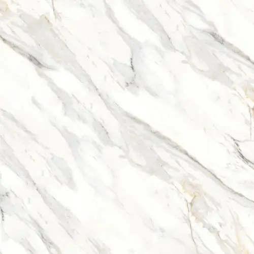 Shandar Polished Arezzo Bianco 48" x 48"