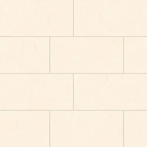 Shandar Polished Crema Marfil Light 12" x 24"