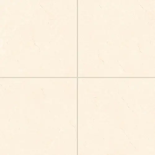 Shandar Polished Crema Marfil Light 24" x 24"