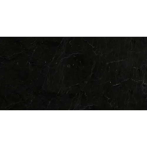 Absolute Black Granite 12" x 24"