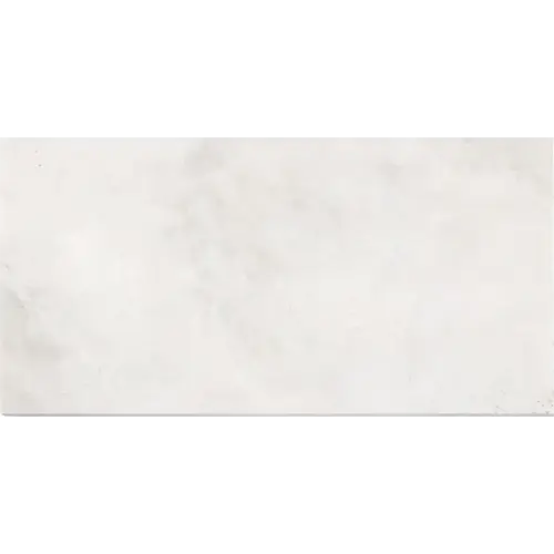 Bianco Congelato 12" x 24"