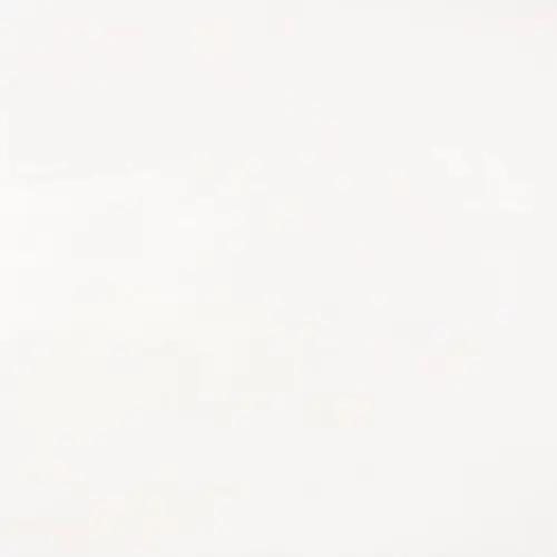 Bianco Dolomiti Micro-Beveled 12" x 12"