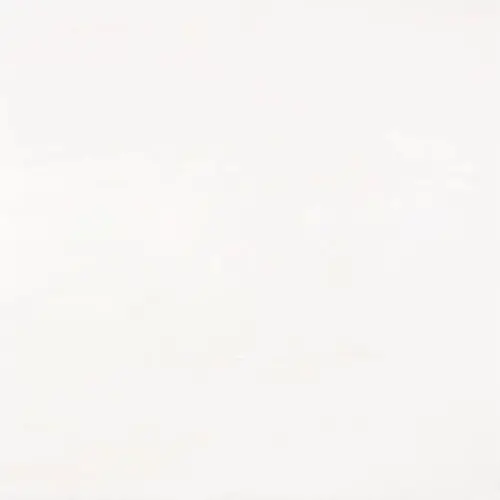Bianco Dolomiti Micro-Beveled 18" x 18"