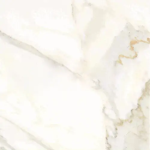 Calacatta Gold 18" x 18"