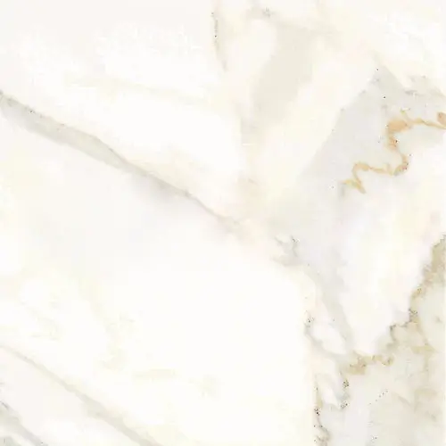 Calacatta Gold 24" x 24"