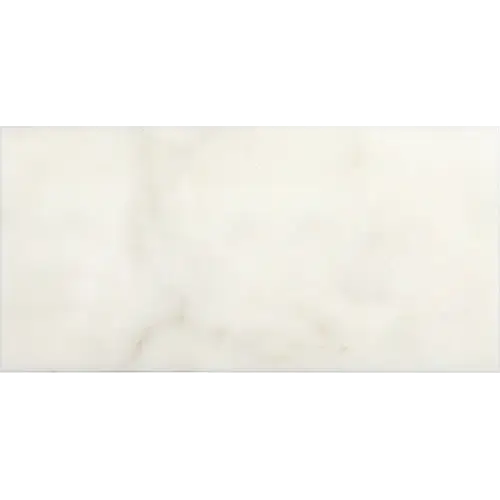 Calacatta Oliva Micro-Beveled 3" x 6"