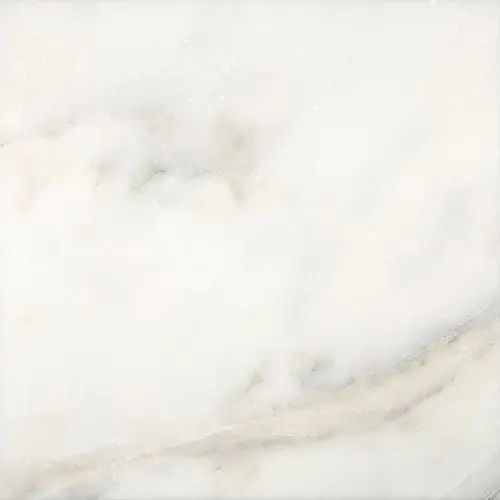 Calacatta Oliva Micro-Beveled 18" x 18"