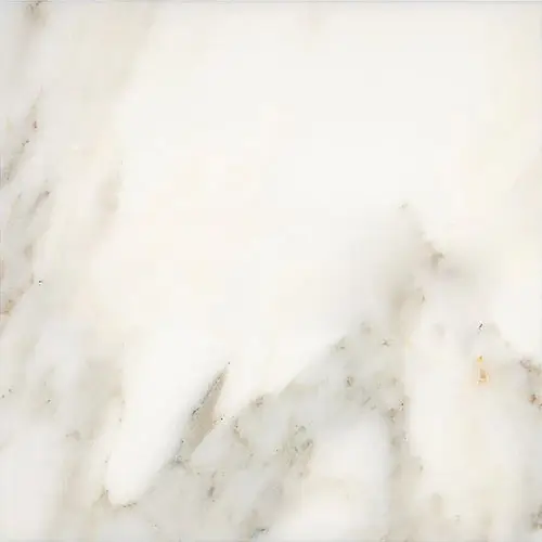 Calacatta Oliva Micro-Beveled 24" x 24"