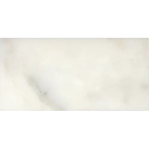 Calacatta Oliva Micro-Beveled 6" x 12"