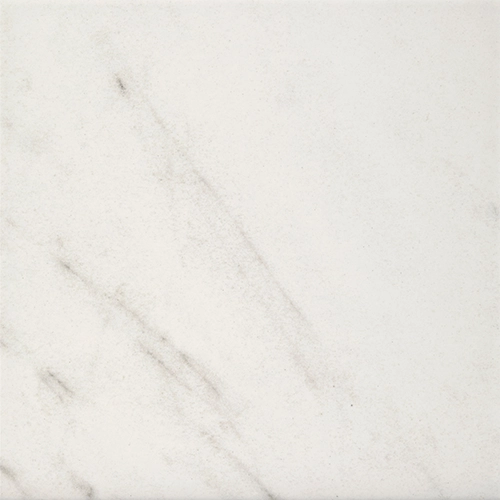 Alba Bianco Matte 8" x 8"