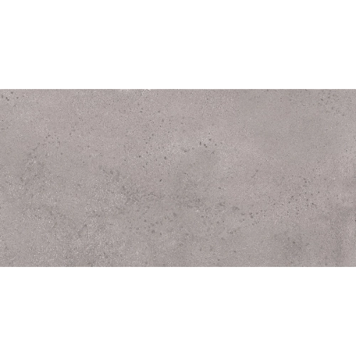 Baltic Granite Matte 12" x 24" R