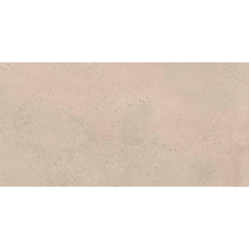 Baltic Tan Matte 24" x 48" R