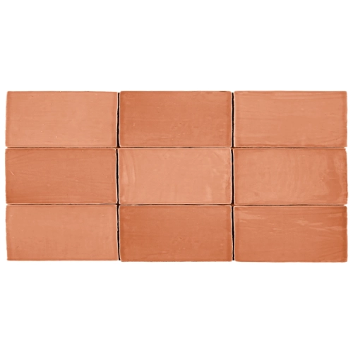 St. Tropez Coral 2.5" x 5"