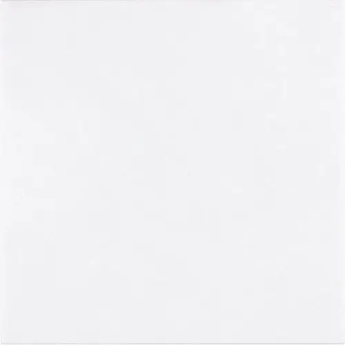 Thassos White Micro-Beveled 12" x 12"