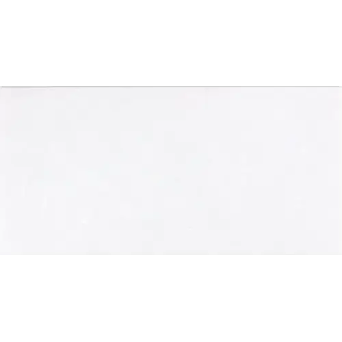 Thassos White Micro-Beveled 12" x 24"