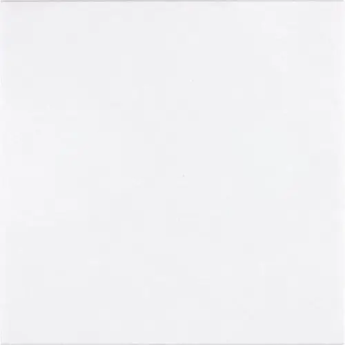 Thassos White Micro-Beveled 24" x 24"