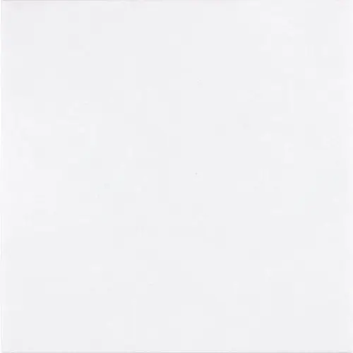 Thassos White Micro-Beveled 6" x 6"